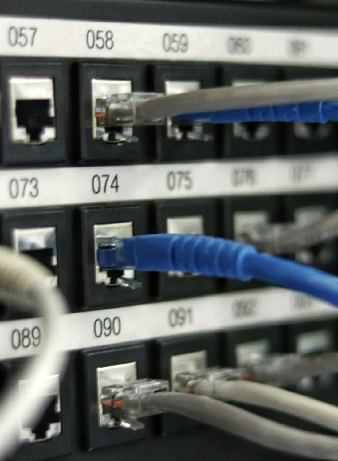A network patch panel with cabling — the rack where hosting tiers live